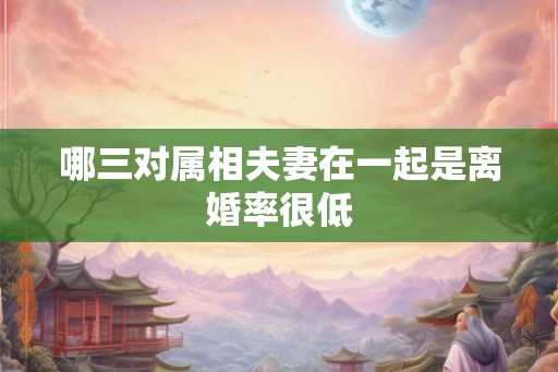 哪三对属相夫妻在一起是离婚率很低