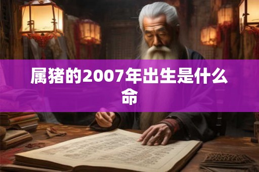属猪的2007年出生是什么命