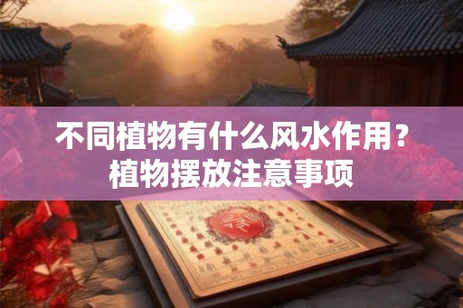 不同植物有什么风水作用？植物摆放注意事项