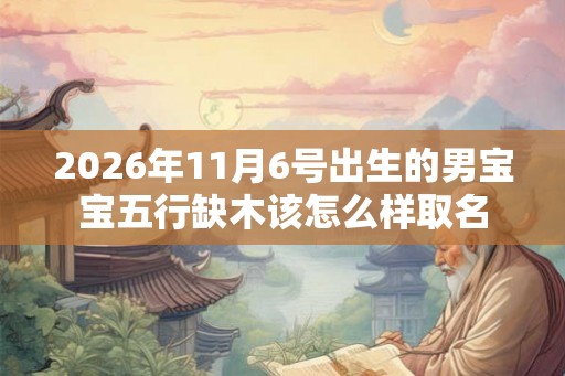 2026年11月6号出生的男宝宝五行缺木该怎么样取名
