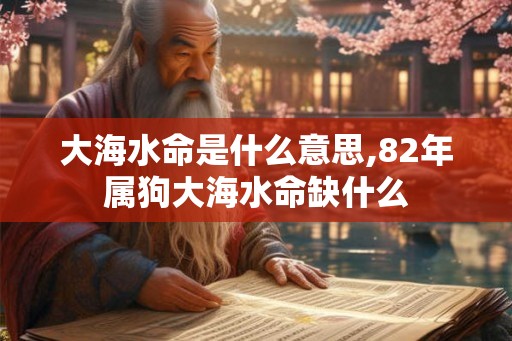 大海水命是什么意思,82年属狗大海水命缺什么