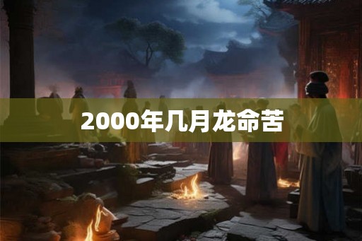 2000年几月龙命苦
