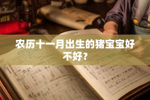 农历十一月出生的猪宝宝好不好? 农历十一月出生的猪宝宝好不好?