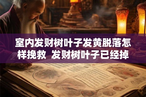 室内发财树叶子发黄脱落怎样挽救  发财树叶子已经掉光的处理