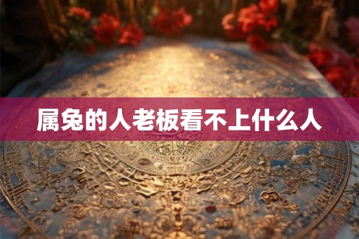 属兔的人老板看不上什么人