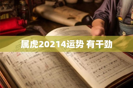 属虎20214运势 有干劲