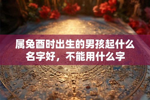 属兔酉时出生的男孩起什么名字好，不能用什么字