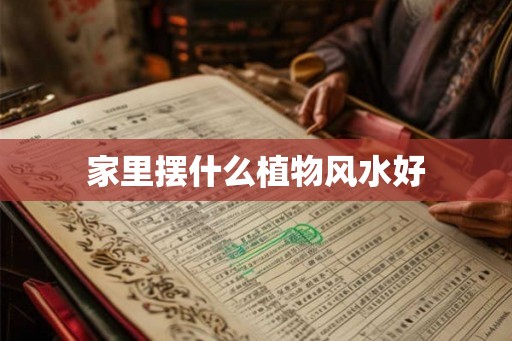 家里摆什么植物风水好