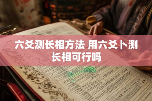六爻测长相方法 用六爻卜测长相可行吗