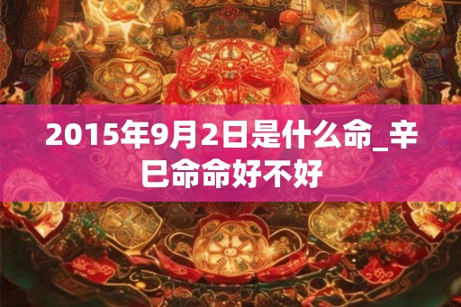 2015年9月2日是什么命_辛巳命命好不好