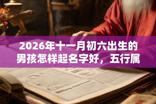 2026年十一月初六出生的男孩怎样起名字好，五行属什么