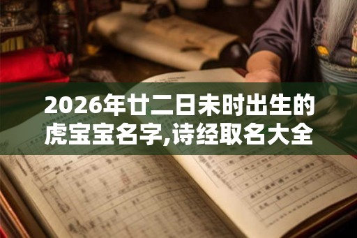 2026年廿二日未时出生的虎宝宝名字,诗经取名大全