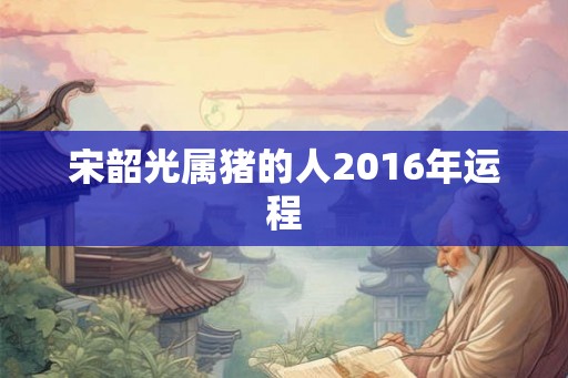 宋韶光属猪的人2016年运程