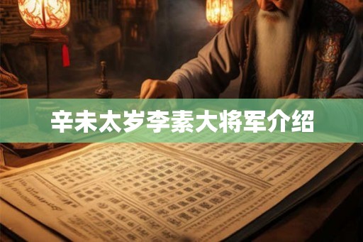 辛未太岁李素大将军介绍