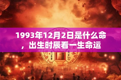 1993年12月2日是什么命，出生时辰看一生命运