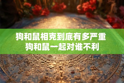 狗和鼠相克到底有多严重 狗和鼠一起对谁不利 狗和鼠相克到底有多严重 狗和鼠一起对谁不利
