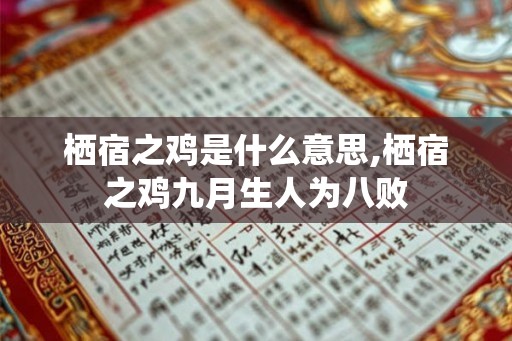 栖宿之鸡是什么意思,栖宿之鸡九月生人为八败