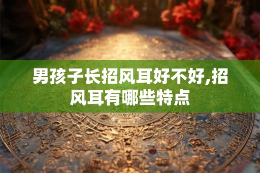 男孩子长招风耳好不好,招风耳有哪些特点