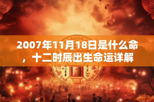 2007年11月18日是什么命，十二时辰出生命运详解