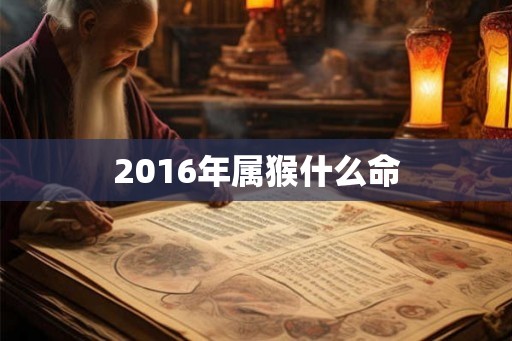 2016年属猴什么命