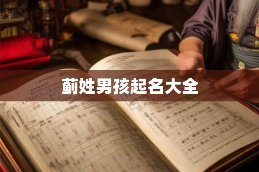 蓟姓男孩起名大全
