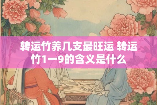 转运竹养几支最旺运 转运竹1一9的含义是什么