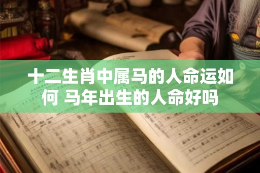 十二生肖中属马的人命运如何 马年出生的人命好吗