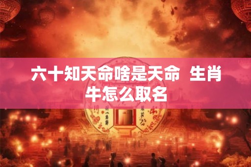 六十知天命啥是天命  生肖牛怎么取名