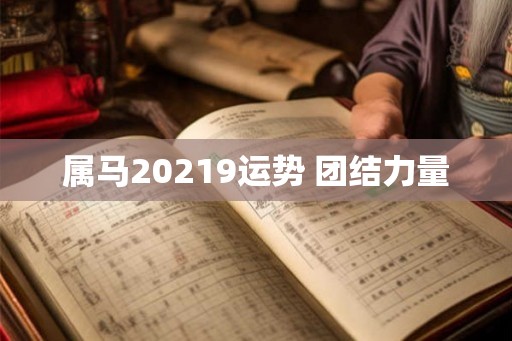 属马20219运势 团结力量