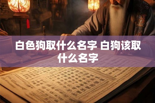 白色狗取什么名字 白狗该取什么名字