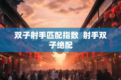 双子射手匹配指数  射手双子绝配