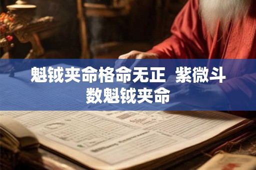 魁钺夹命格命无正  紫微斗数魁钺夹命