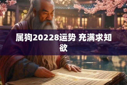 属狗20228运势 充满求知欲