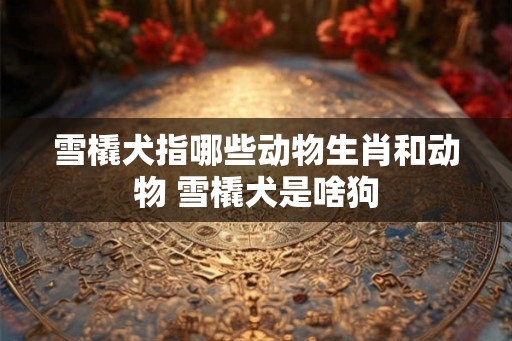 雪橇犬指哪些动物生肖和动物 雪橇犬是啥狗