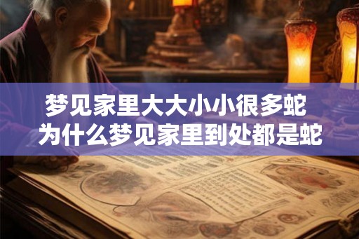 梦见家里大大小小很多蛇 为什么梦见家里到处都是蛇