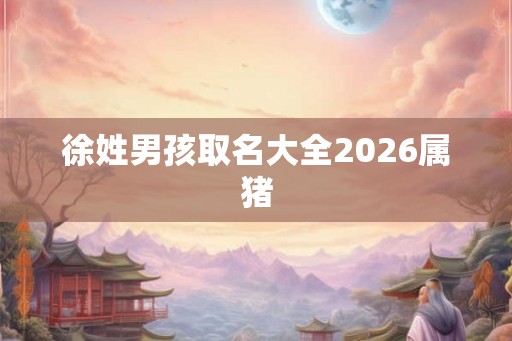 徐姓男孩取名大全2026属猪