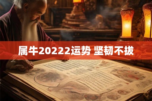 属牛20222运势 坚韧不拔