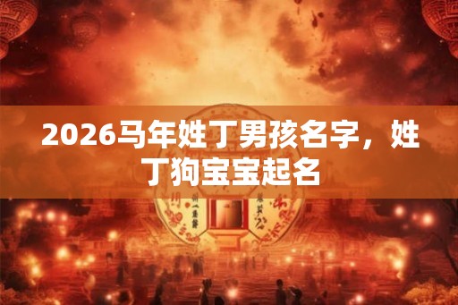 2026马年姓丁男孩名字，姓丁狗宝宝起名