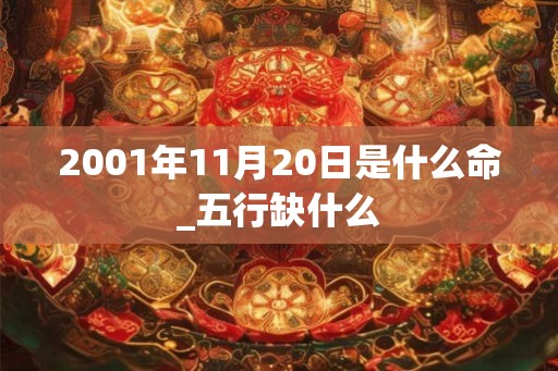 2001年11月20日是什么命_五行缺什么