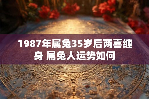1987年属兔35岁后两喜缠身 属兔人运势如何