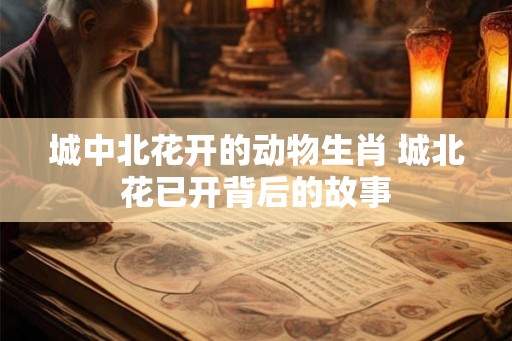 城中北花开的动物生肖 城北花已开背后的故事 城中北花开的动物生肖 城北花已开背后的故事