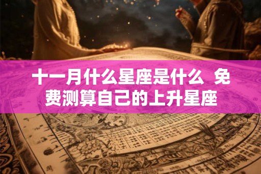 十一月什么星座是什么  免费测算自己的上升星座