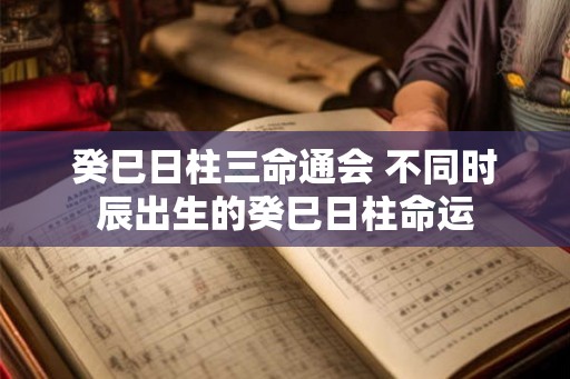 癸巳日柱三命通会 不同时辰出生的癸巳日柱命运