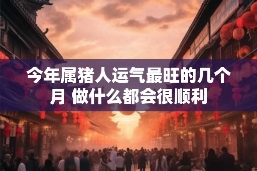 今年属猪人运气最旺的几个月 做什么都会很顺利