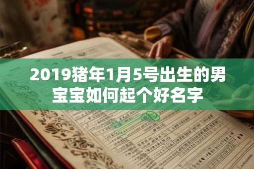 2019猪年1月5号出生的男宝宝如何起个好名字