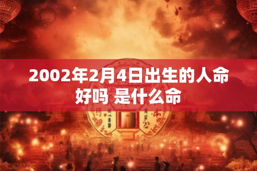 2002年2月4日出生的人命好吗 是什么命