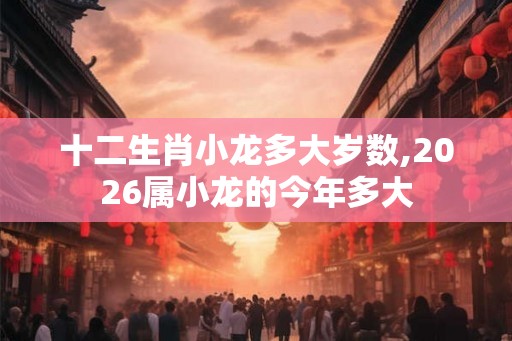 十二生肖小龙多大岁数,2026属小龙的今年多大