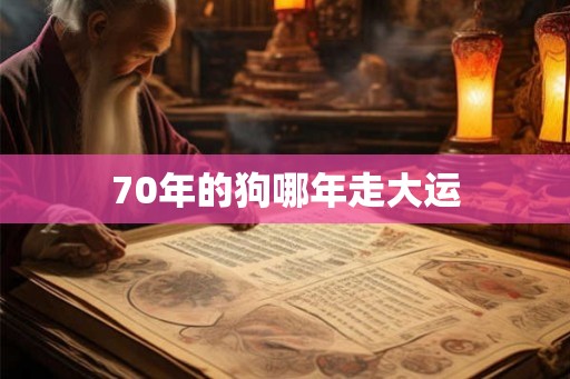 70年的狗哪年走大运