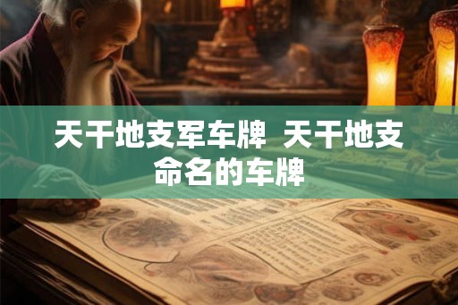 天干地支军车牌  天干地支命名的车牌