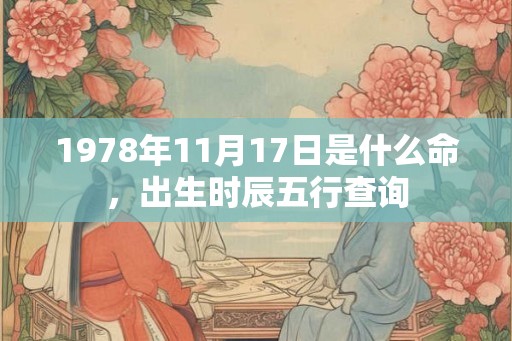 1978年11月17日是什么命，出生时辰五行查询